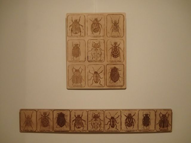 Laser cut images - grid and strip