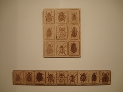 Laser cut images - grid and strip