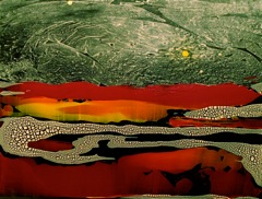 Turmoil on Venus  ~(11