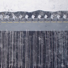 The White Rabbit Race (48