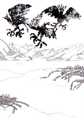 Carcross Dunes: The Ravens' Playground (12