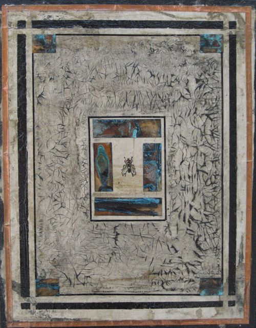 Everyone Agreed the Fly Was Beautifully Framed