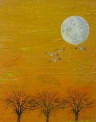 The Orchards of Saturn